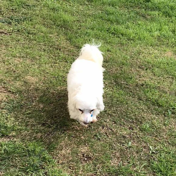 Meet your Posher, Pat - Picture 1 of 1